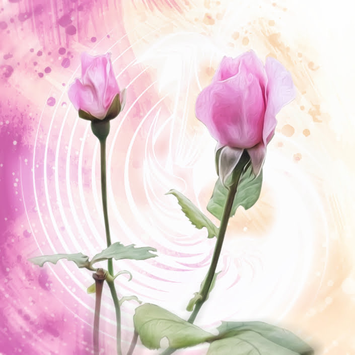 6 Artwork - Roses